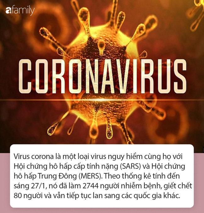Tất tần tật thông tin nhanh về virus corona - cơn ác mộng làm xáo trộn Trung Quốc, đang khiến thế giới hoang mang từng ngày-1