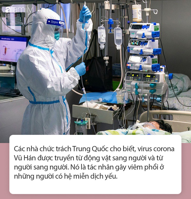 Tất tần tật thông tin nhanh về virus corona - cơn ác mộng làm xáo trộn Trung Quốc, đang khiến thế giới hoang mang từng ngày-3