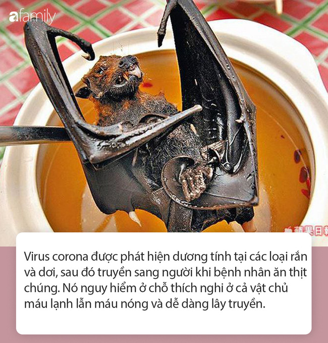 Tất tần tật thông tin nhanh về virus corona - cơn ác mộng làm xáo trộn Trung Quốc, đang khiến thế giới hoang mang từng ngày-4