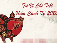 Tử vi chi tiết năm Canh Tý: Tuổi Hợi có nhiều thay đổi tuyệt vời, cuộc sống viên mãn từ tiền bạc đến tình cảm