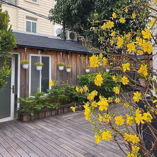 Choáng với nội thất vàng trong biệt thự của 2 người đẹp miền Tây lấy chồng đại gia-14