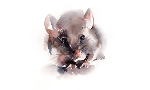 5 con giáp có sự nghiệp tươi sáng, công thành danh toại nhất trong năm Canh Tý 2020-1