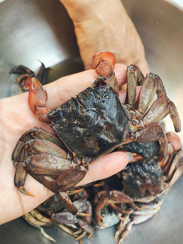 Ăn Tết như mẹ bỉm sữa Lê Phương: Ngon miệng, đủ chất mà khỏi lo ngán-8