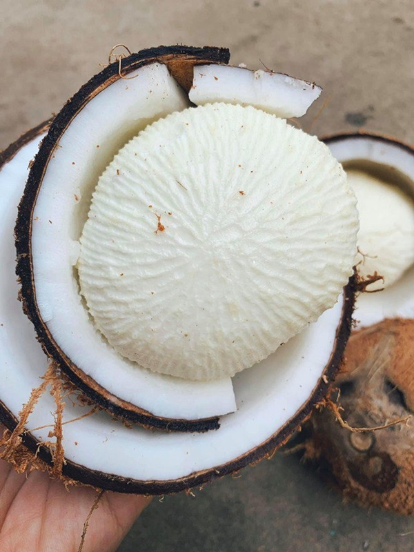 Ăn Tết như mẹ bỉm sữa Lê Phương: Ngon miệng, đủ chất mà khỏi lo ngán-10