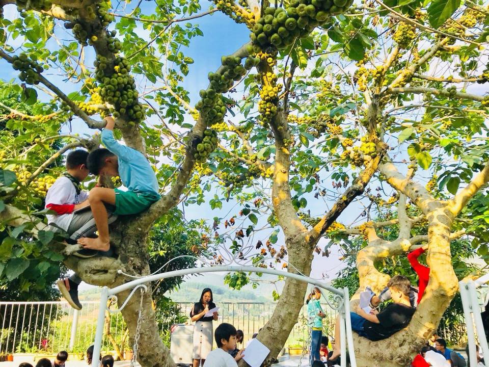 Để bảo vệ học sinh trở lại trường sau Tết, nhiều trường học ở Hà Nội đã đưa ra các biện pháp tích cực phòng chống virus Corona-2