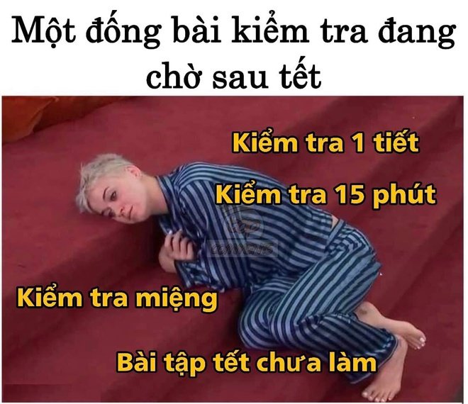 Không khí ngày mùng 6 khai xuân rộn ràng trên MXH: Người người nhà nhà hoang mang vì Tết trôi qua nhanh quá, ai nấy đều phải tự cảnh tỉnh hôm nay không phải đêm giao thừa-11