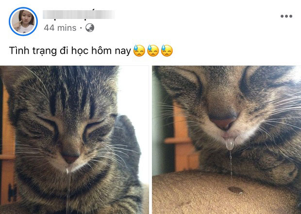 Không khí ngày mùng 6 khai xuân rộn ràng trên MXH: Người người nhà nhà hoang mang vì Tết trôi qua nhanh quá, ai nấy đều phải tự cảnh tỉnh hôm nay không phải đêm giao thừa-2