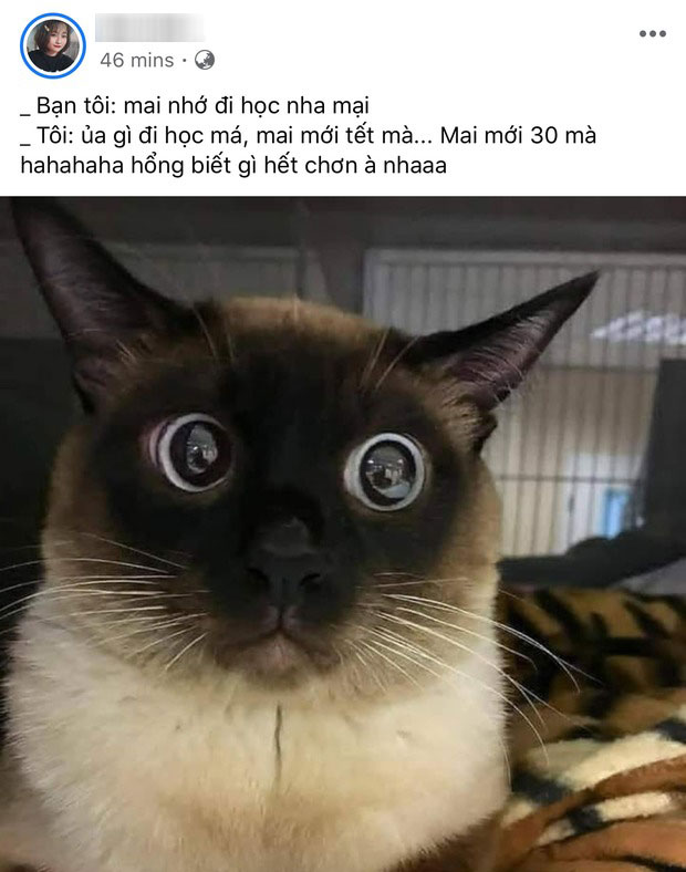 Không khí ngày mùng 6 khai xuân rộn ràng trên MXH: Người người nhà nhà hoang mang vì Tết trôi qua nhanh quá, ai nấy đều phải tự cảnh tỉnh hôm nay không phải đêm giao thừa-3