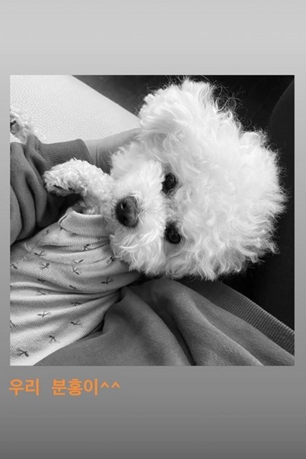 Tết đầu tiên của cặp Song Song hậu ly hôn: Song Hye Kyo sang tận Mỹ, Song Joong Ki thân thiết với sao nữ ở Colombia-4