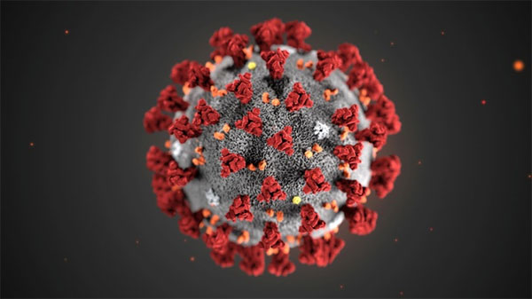 Chỉ một tuần, virus corona làm giới công nghệ hỗn loạn-1