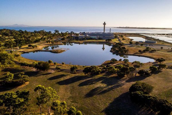 Bản sao virus corona mới do Úc sản xuất được đưa đến phòng thí nghiệm bảo mật cao chuyên chứa một số loại virus nguy hiểm nhất thế giới-1