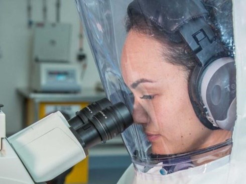 Bản sao virus corona mới do Úc sản xuất được đưa đến phòng thí nghiệm bảo mật cao chuyên chứa một số loại virus nguy hiểm nhất thế giới