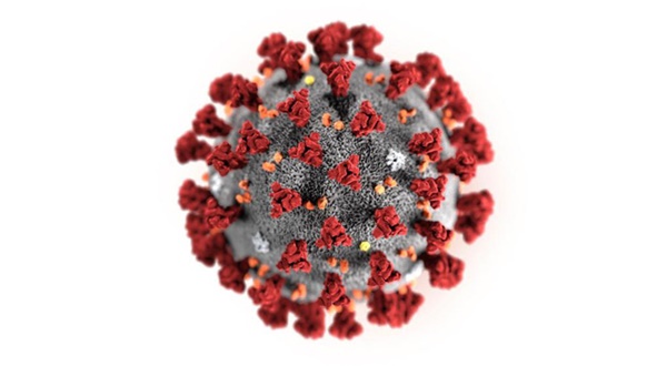Hoa Kỳ báo cáo trường hợp lây truyền virus corona từ người sang người đầu tiên: WHO lên tiếng lo ngại nghiêm trọng về sự lây lan virus từ người sang người ở ngoài Trung Quốc-1