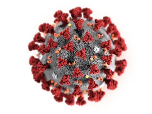 Hoa Kỳ báo cáo trường hợp lây truyền virus corona từ người sang người đầu tiên: WHO lên tiếng 