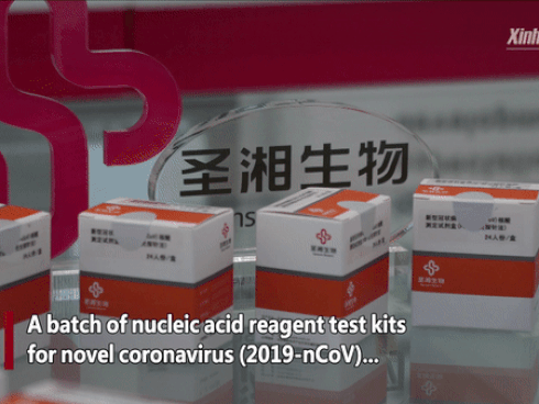 Virus Corona: Phát minh thành công dụng cụ test virus corona cho kết quả ngay trong vòng 30 phút!