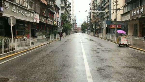 Trong lòng Vũ Hán: Người dân làm thế nào để có thức ăn khi toàn thành phố đang bị phong tỏa?-2