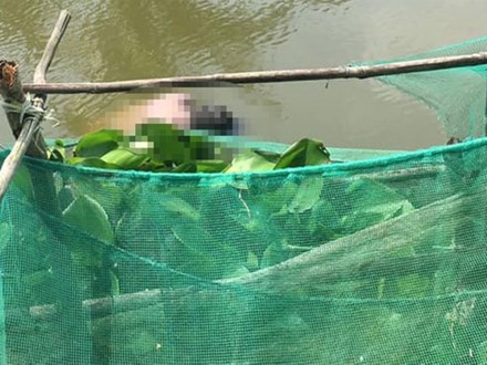 Thi thể người đàn ông Trung Quốc trôi dưới kênh ở Bạc Liêu