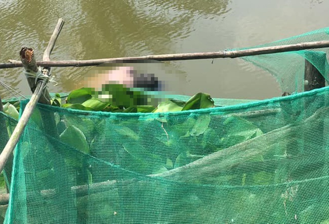 Thi thể người đàn ông Trung Quốc trôi dưới kênh ở Bạc Liêu-1