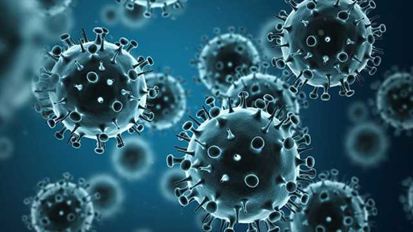 Trong khi cả thế giới đang lao đao vì virus corona thì Mỹ còn phải đối mặt với loại virus từng khiến 61.000 người chết và 45 triệu người bị bệnh-2