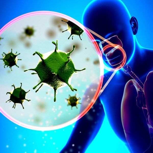 Trong khi cả thế giới đang lao đao vì virus corona thì Mỹ còn phải đối mặt với loại virus từng khiến 61.000 người chết và 45 triệu người bị bệnh-4