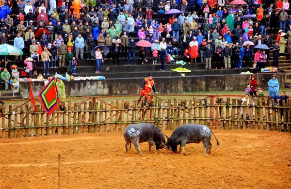 Loạt lễ hội lớn sau Tết ngừng tổ chức hoặc cắt giảm quy mô vì virus corona-2