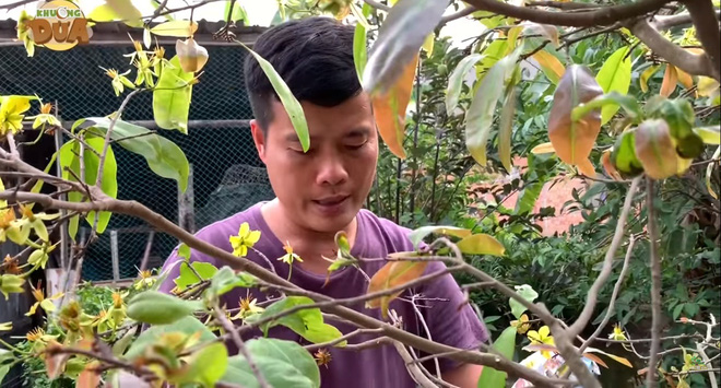 Phó GĐ Điền Quân Khương Dừa: Hát hò thì dễ chứ thi hài đến Trấn Thành, Trường Giang còn sợ!-1