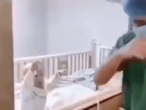 Sự thật về hình ảnh một người đàn ông nghi nhiễm virus corona gục ngã trước cửa nhà hàng há cảo ở Thượng Hải-4