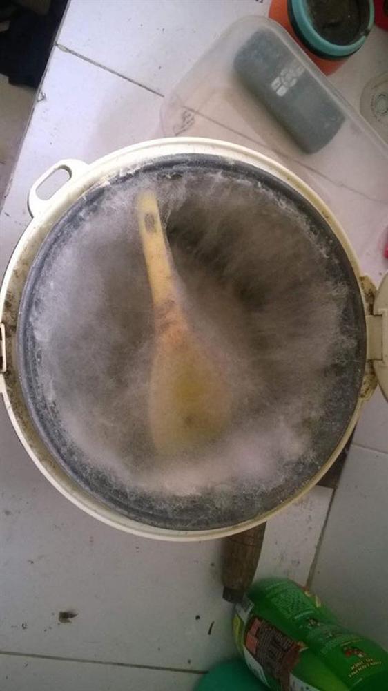 Hết hồn với series nồi cơm điện mốc meo, bốc mùi thối kinh dị sau Tết vì người ở trọ quên rửa!-3