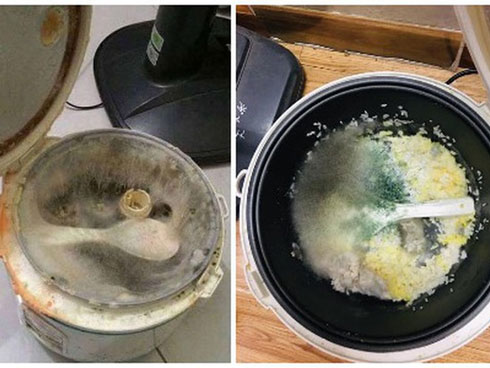 Bức ảnh thoạt nhìn tưởng thảm thực vật trong hang Sơn Đoòng, nào ngờ sự thật khiến hội chị em giật mình phải chạy đi kiếm nồi cơm của nhà mình-11