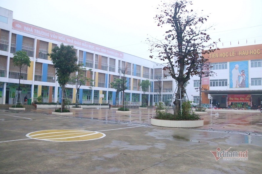 Giáo viên luộc khăn, chia rau...ngày nghỉ học phòng dịch virus corona-1