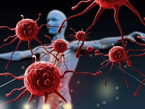 “Gia cố” hệ miễn dịch cá nhân giữa mùa dịch virus corona: 