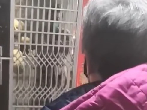 Mẹ nghẹn ngào đưa thức ăn cho con trai tự cách ly vì dịch cúm corona