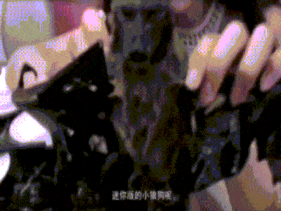 Đã xác định thủ phạm gieo rắc mầm bệnh virus corona cho nhân loại chính là loài dơi-2