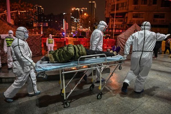 Đã xác định thủ phạm gieo rắc mầm bệnh virus corona cho nhân loại chính là loài dơi-3