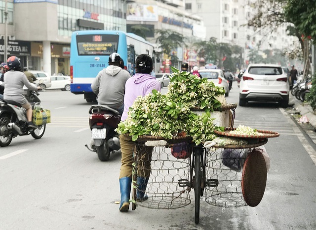 Hoa bưởi xuống phố, khách giành nhau từng chùm-1