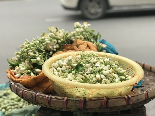 Hoa bưởi xuống phố, khách giành nhau từng chùm-4
