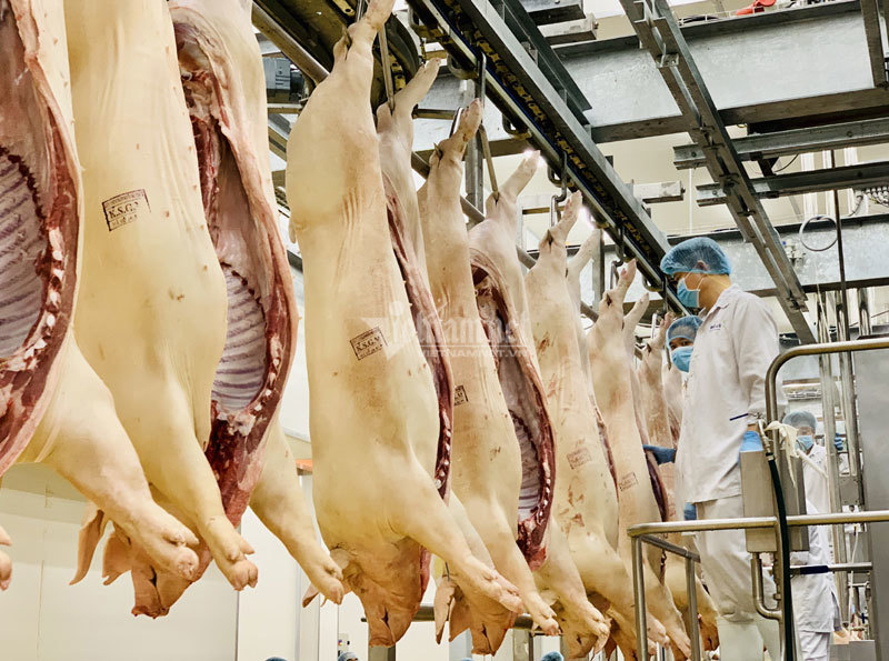 Chợ ế ẩm, tiểu thương quyết không giảm giá thịt lợn-2