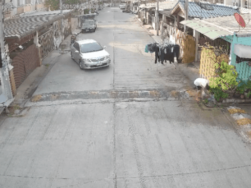 CLIP: Khoảnh khắc ô tô lao kinh hoàng, đâm người đàn ông đang dọn rác trước cửa