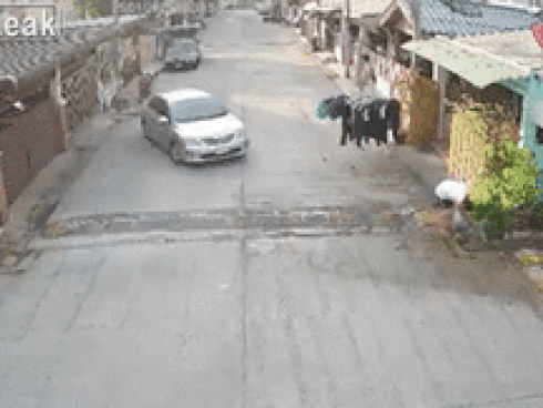 Lái xe tông chết hàng xóm vì 'sống vô tâm'