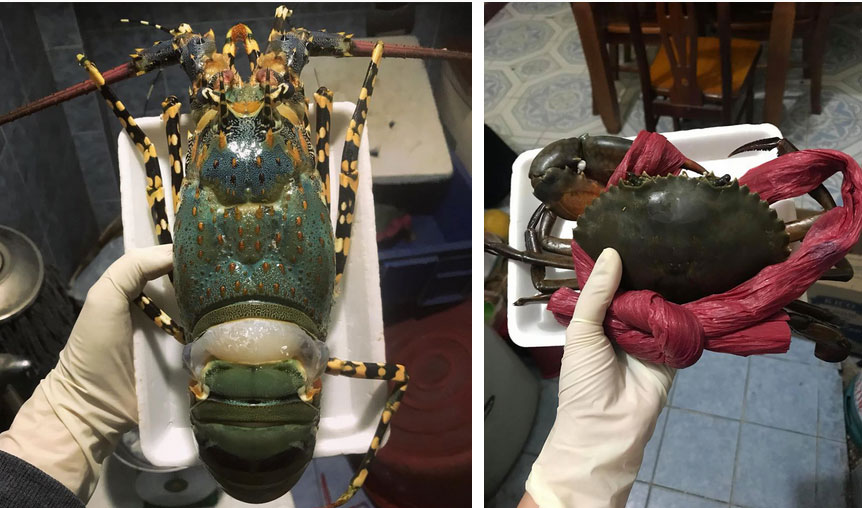 Salon, spa, tiệm nails tiêu điều, phòng vé máy bay lỗ bằng cả căn chung cư tiền tỷ: Nỗi lòng chị em phụ nữ làm kinh doanh giữa đại dịch Corona giờ mới dám kể-8