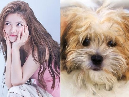 Qua rằm tháng Giêng, 3 con giáp được thần tài gọi tên, phúc lộc đầy nhà, tiền tiêu không hết