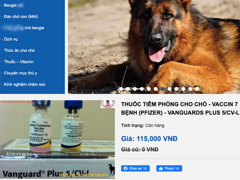 Hãng dược khổng lồ từ Hoa Kỳ tuyên bố vaccine chống Covid-19 có thể ra đời vào cuối năm nay, nguồn cung đủ cho hàng triệu người-2