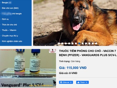 Xôn xao sự việc khiến cộng đồng hoang mang: Rao bán vacxin phòng virus Corona nhưng phẫn nộ hơn nữa khi biết đây là vacxin phòng bệnh cho động vật