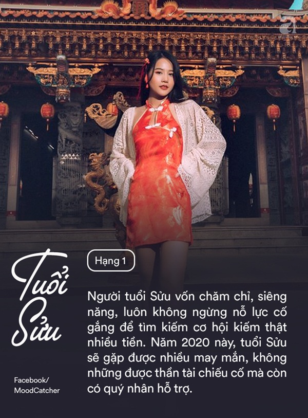 Năm 2020 hoan hỷ, trong 12 con giáp ai là người có khả năng kiếm nhiều tiền nhất, có cuộc sống thăng hoa và thịnh vượng nhất-2