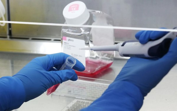 Các nhà khoa học Anh phát triển vắc-xin ngăn chặn virus corona, dự kiến tuần tới thử nghiệm trên động vật-1