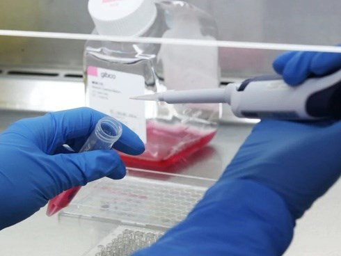 Các nhà khoa học Anh phát triển vắc-xin ngăn chặn virus corona, dự kiến tuần tới thử nghiệm trên động vật