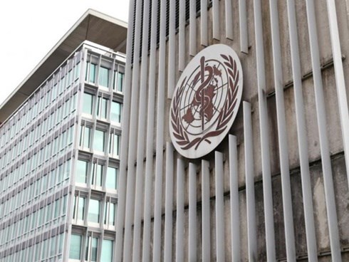 WHO triệu tập các chuyên gia về thuốc, vắc-xin để thiết lập chương trình nghiên cứu virus corona vào tuần tới
