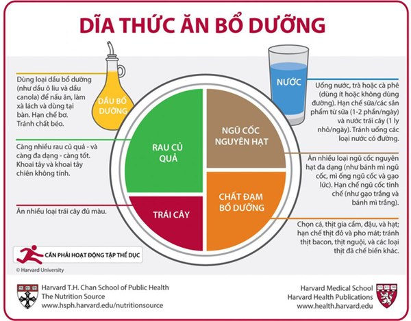 BS Phạm Nguyên Quý: Không phải thực phẩm chức năng, đây mới cách tăng miễn dịch để chống lại virus corona-3