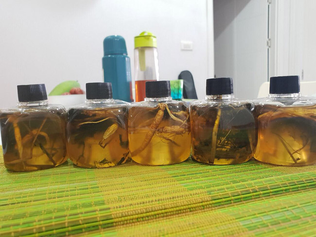 Bộ sưu tập sâm Hoàng Thất giá tiền tỷ của đại gia Hà thành-11