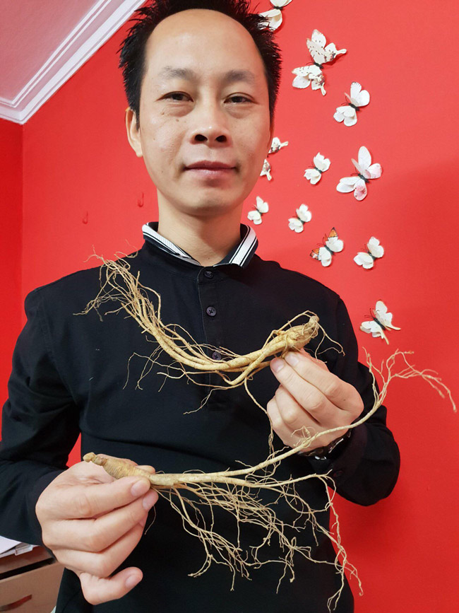 Bộ sưu tập sâm Hoàng Thất giá tiền tỷ của đại gia Hà thành-13